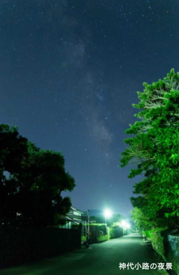 夜景