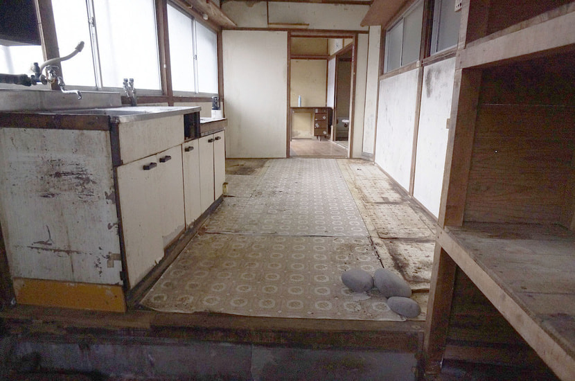 1f_kitchen_1.jpg